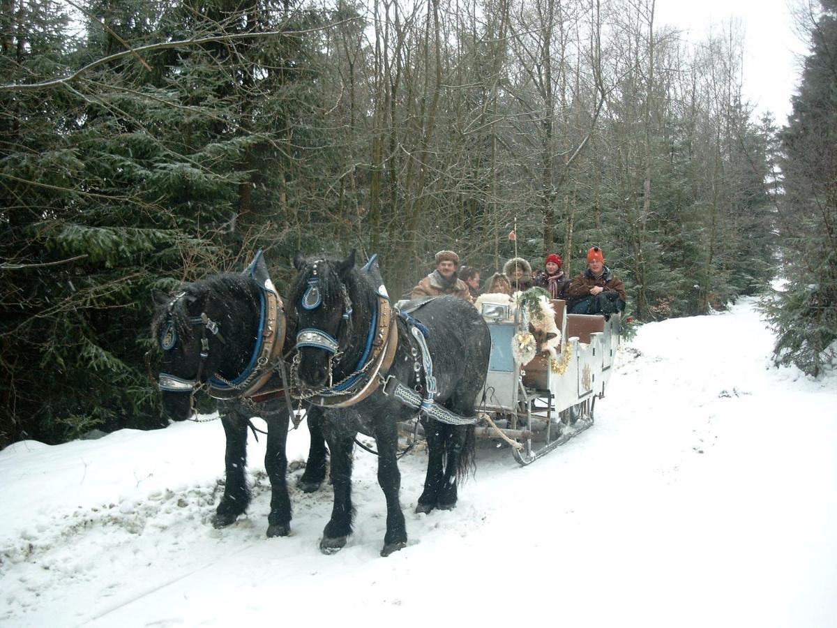 SchöfwegBayern Ferienland Sonnenwald公寓 外观 照片